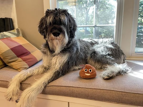 🎁Lowest price ever💥Funny Poop Plush Toy – Makes Fart Sounds!