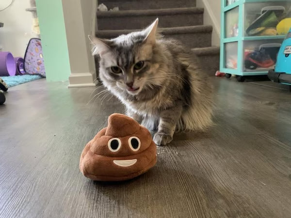 🎁Lowest price ever💥Funny Poop Plush Toy – Makes Fart Sounds!