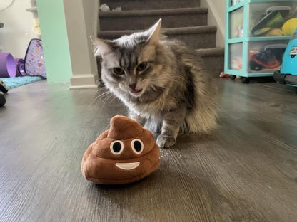 🎁Lowest price ever💥Funny Poop Plush Toy – Makes Fart Sounds!