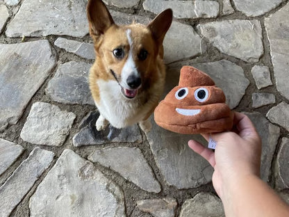 🎁Lowest price ever💥Funny Poop Plush Toy – Makes Fart Sounds!